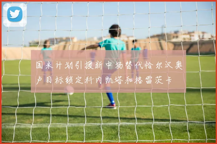 国米计划引援新中场替代恰尔汉奥卢目标锁定科内凯塔和格雷茨卡